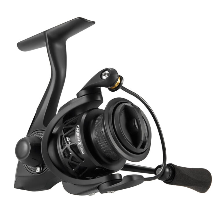 Piscifun Carbon X spinning reel