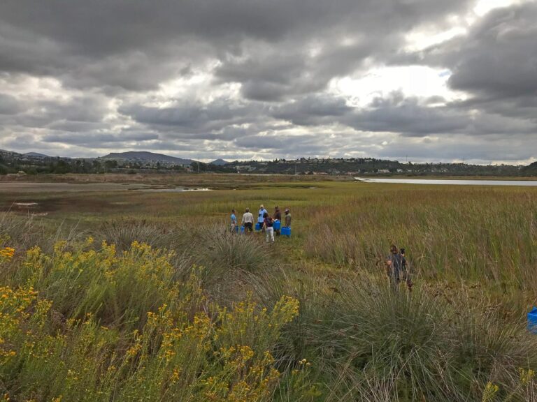 Batiquitos Lagoon, California