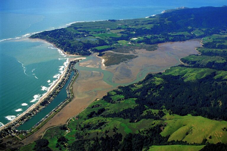 Bolinas Lagoon, California