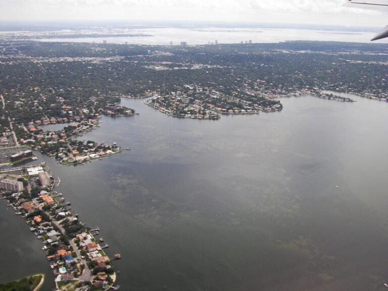 Old Tampa Bay, Florida