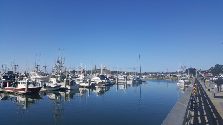 Pillar Point Harbor, California