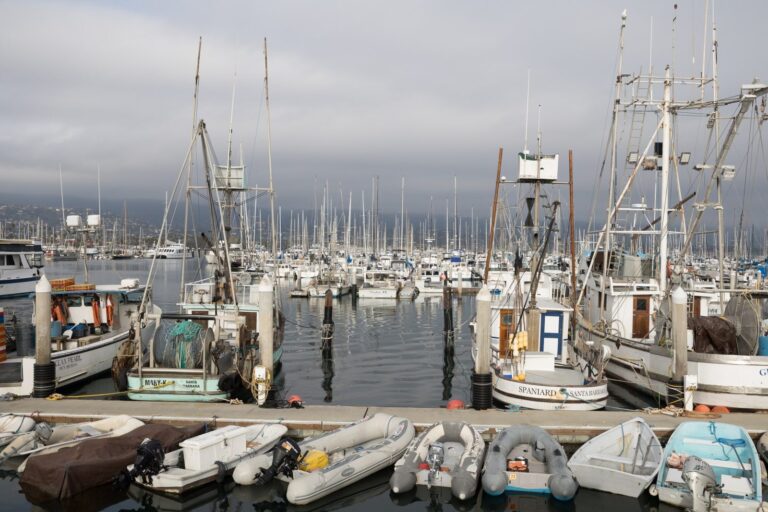 Santa Barbara Harbor, California