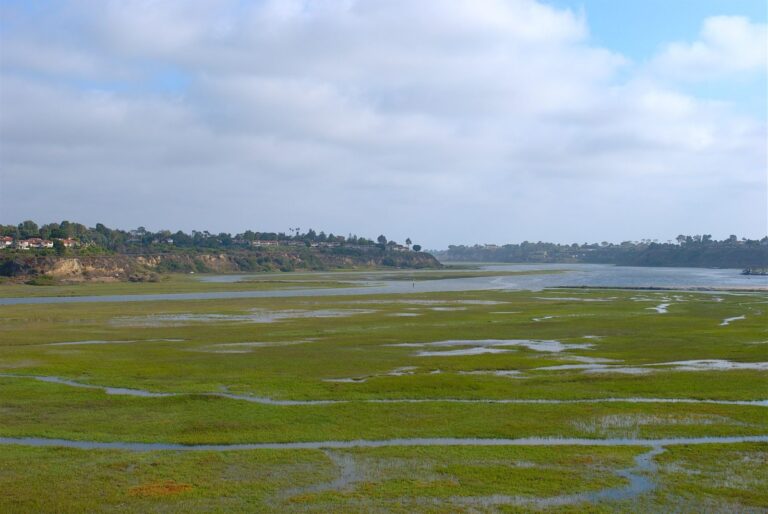 Upper Newport Bay, California