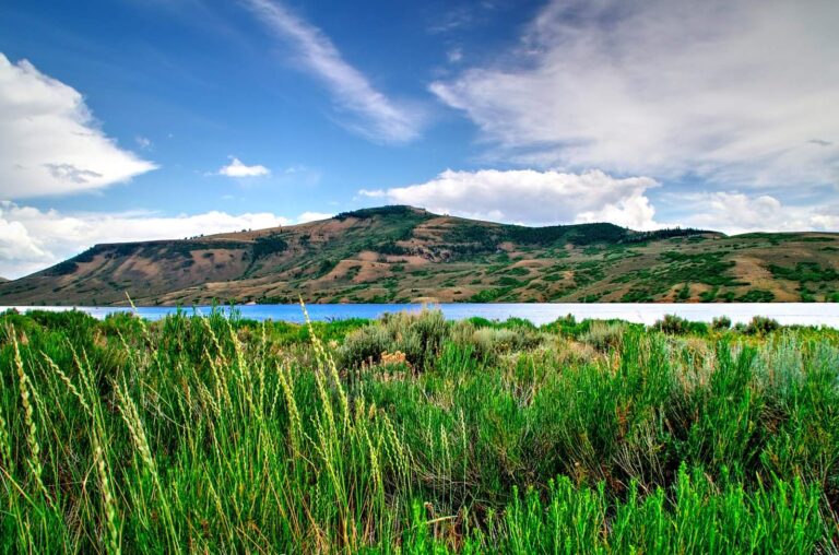 Blue Mesa Reservoir, Colorado