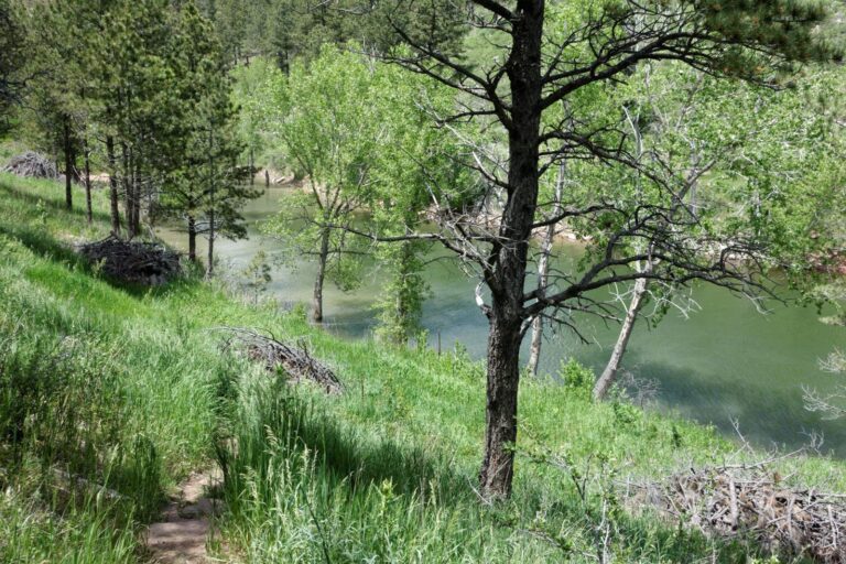 Carter Reservoir, Colorado