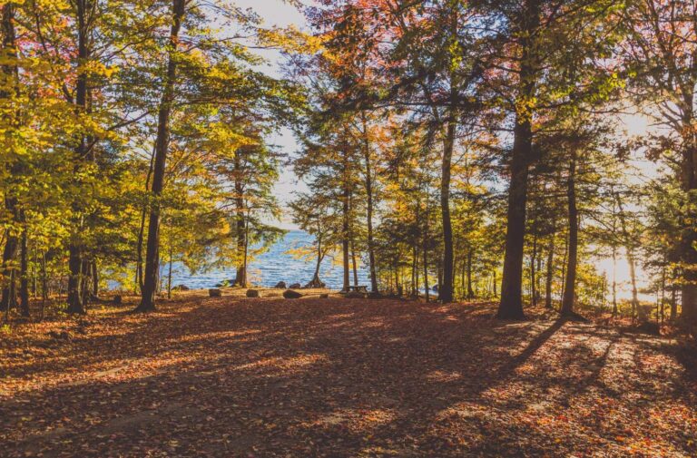 Cranberry Lake, New York