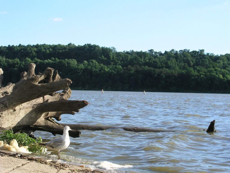 Dillon Lake, Ohio