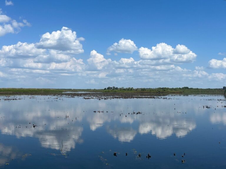 East Lake Tohopekaliga, Florida