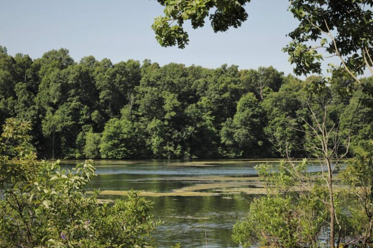 Fellows Lake, Missouri