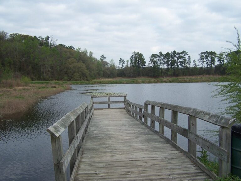 Lake Piney Z, Florida