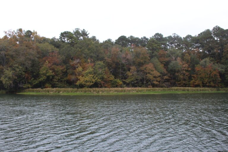 Lake Seminole, Florida