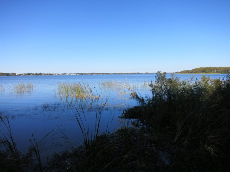 Lake Tarpon, Florida