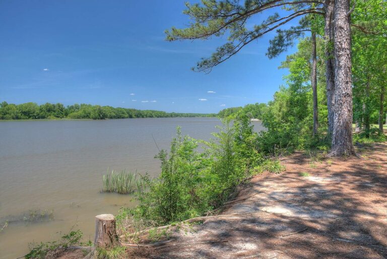 Lake Walter F. George, Georgia