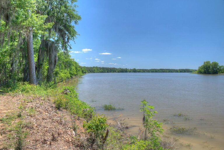 Lake Walter F. George, Georgia