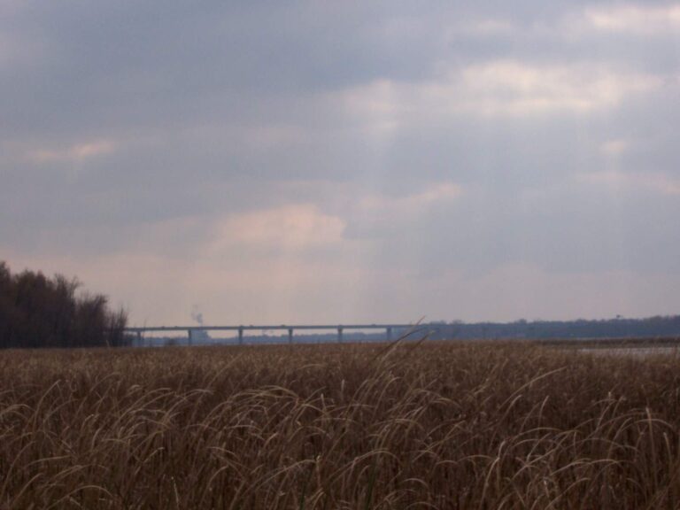 Little Lake Butte Des Morts, Wisconsin