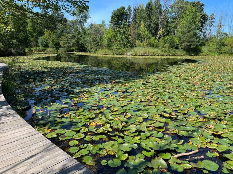 Mystery Lake, Burnett County, Wisconsin