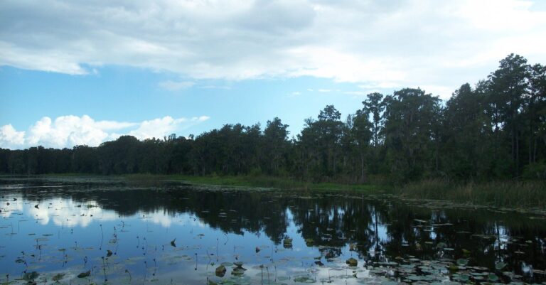 Newnans Lake, Florida