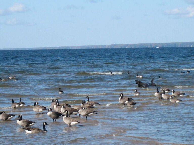 Oneida Lake, New York