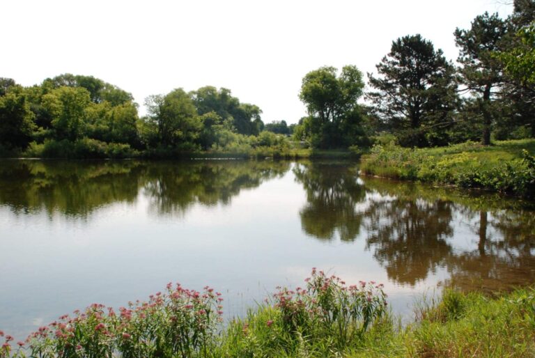 Roxy Pond, Wisconsin