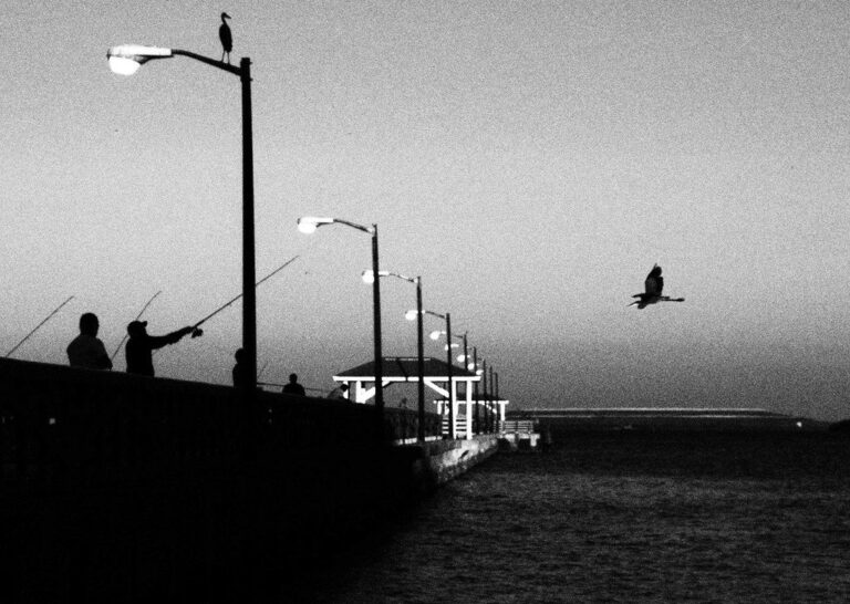 Ballast Point Park, Florida