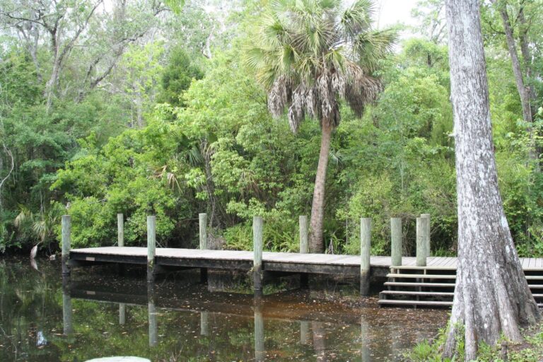 James E. Grey Preserve, Florida