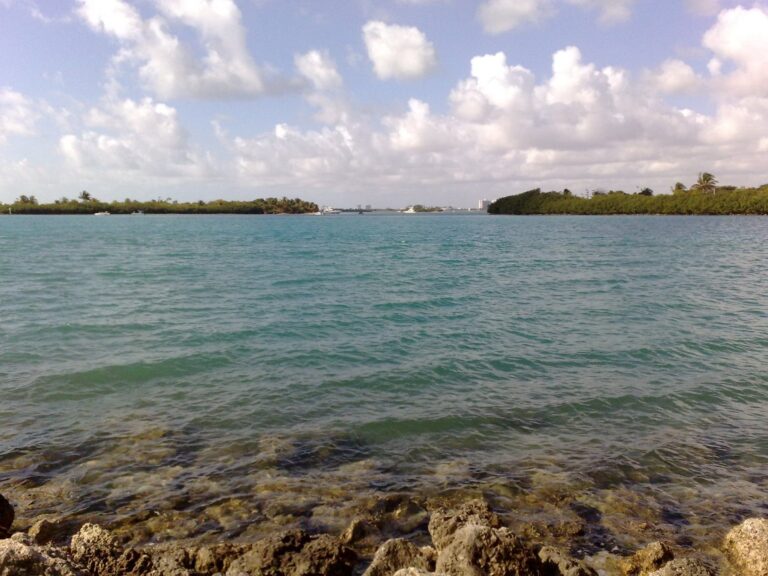 Oleta River State Park, Florida