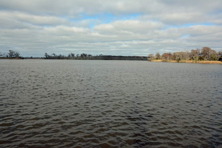Altamaha River, Georgia