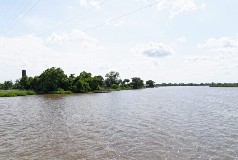 Altamaha River, Georgia