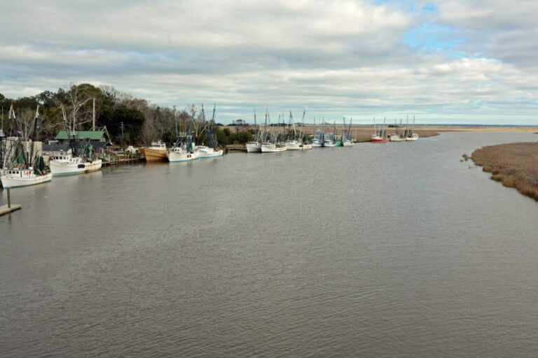 Altamaha River, Georgia