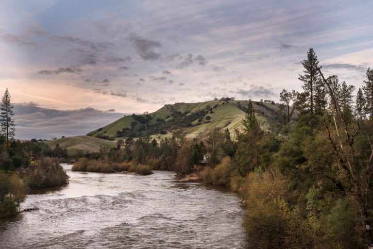 American River, California