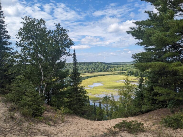 Au Sable River, Michigan
