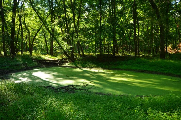 Baraboo River, Wisconsin