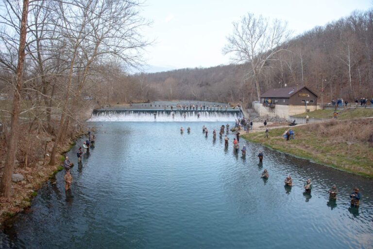 Bennett Spring Branch, Missouri