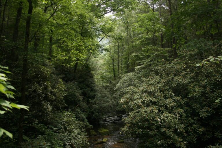Chattooga River, Chattooga County, Georgia