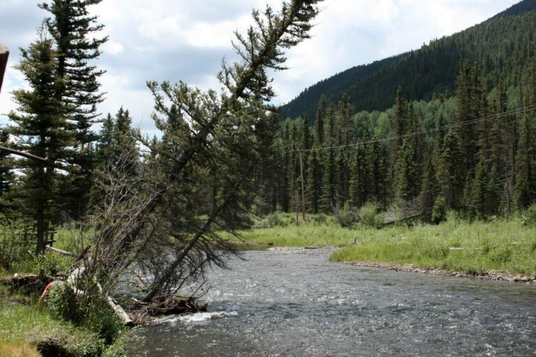 Conejos River, Colorado