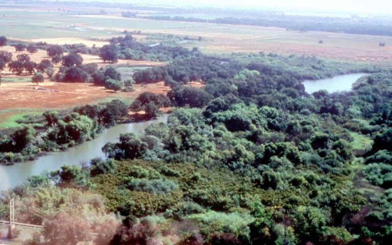 Cosumnes River, California