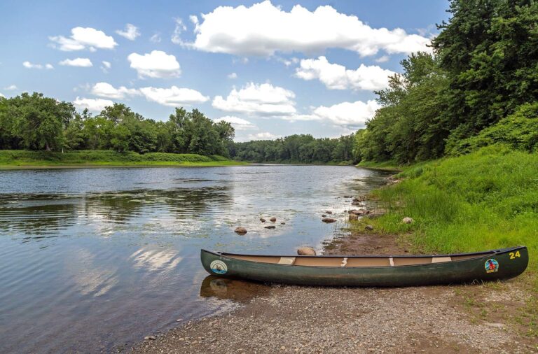 Delaware River, New York