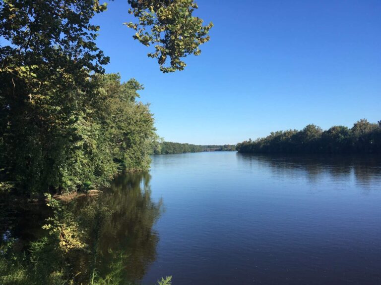Delaware River, New York