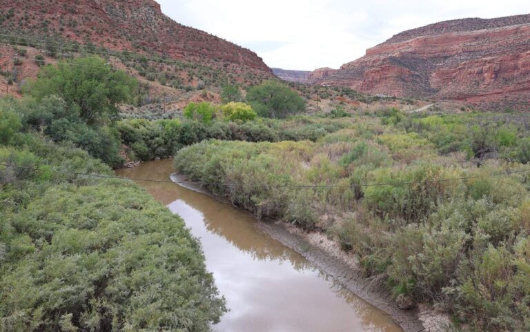 Dolores River, Colorado