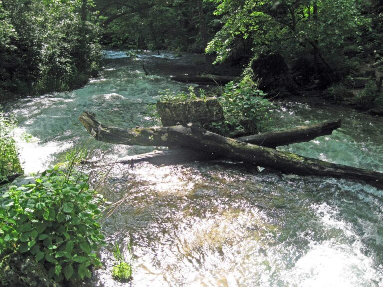 Eleven Point River, Missouri