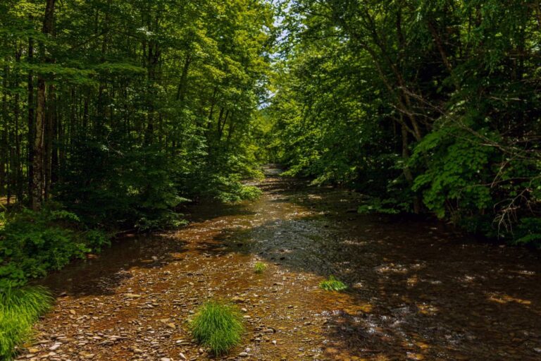 Esopus Creek, New York