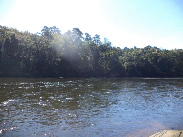 Flint River, Georgia