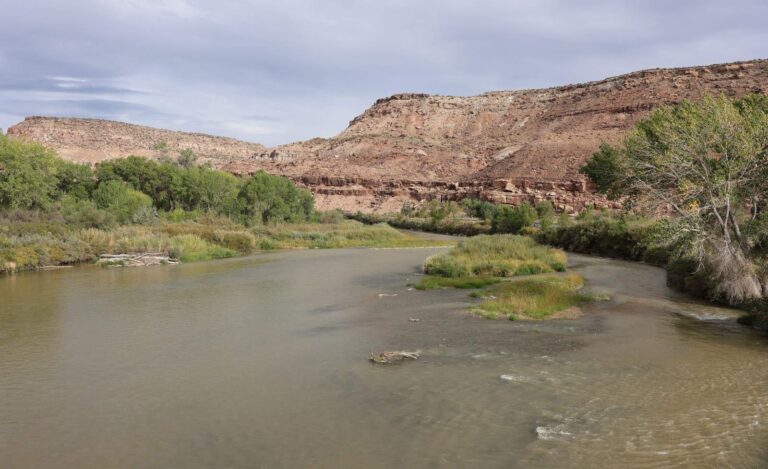 Gunnison River, Colorado