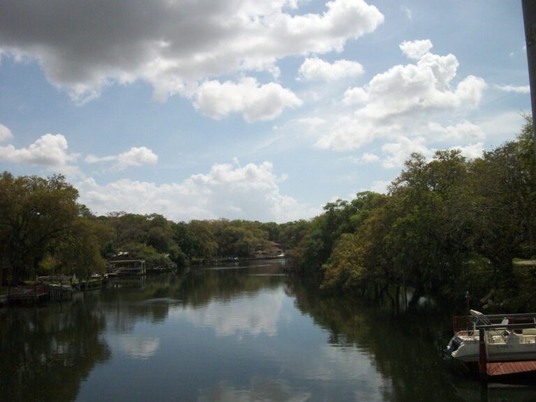 Hillsborough River, Florida