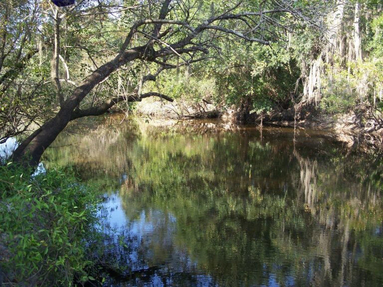 Little Manatee River, Florida