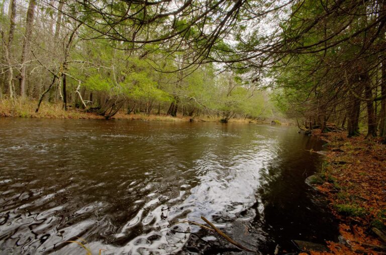 Little Wolf River, Wisconsin