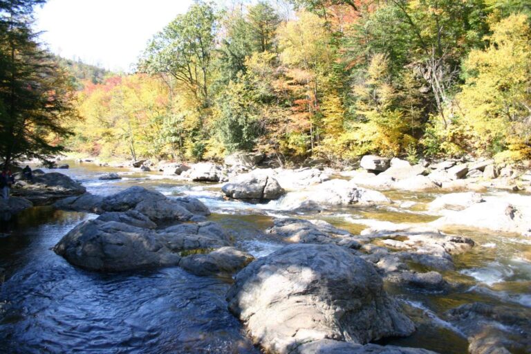 Loyalsock Creek, Pennsylvania
