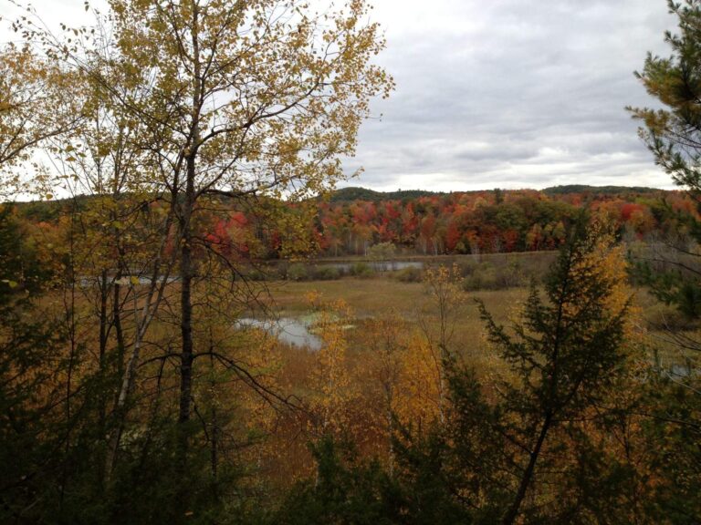 Manistee River, Michigan