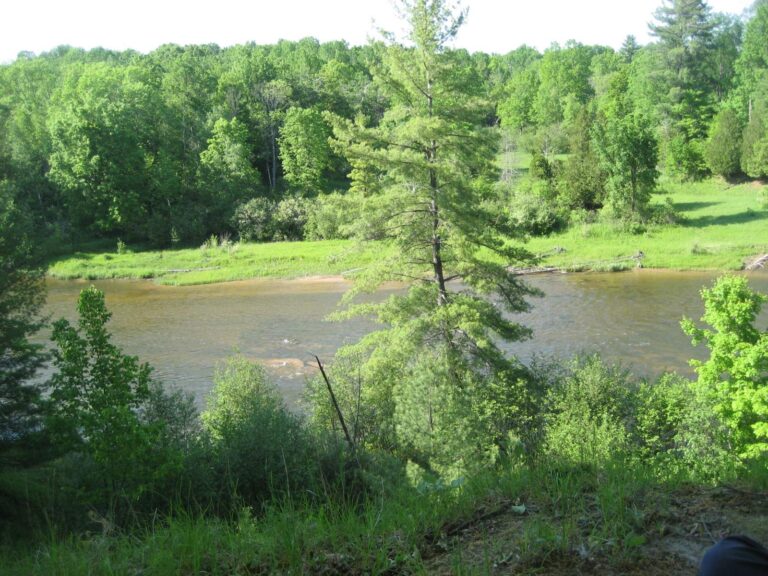 Manistee River, Michigan