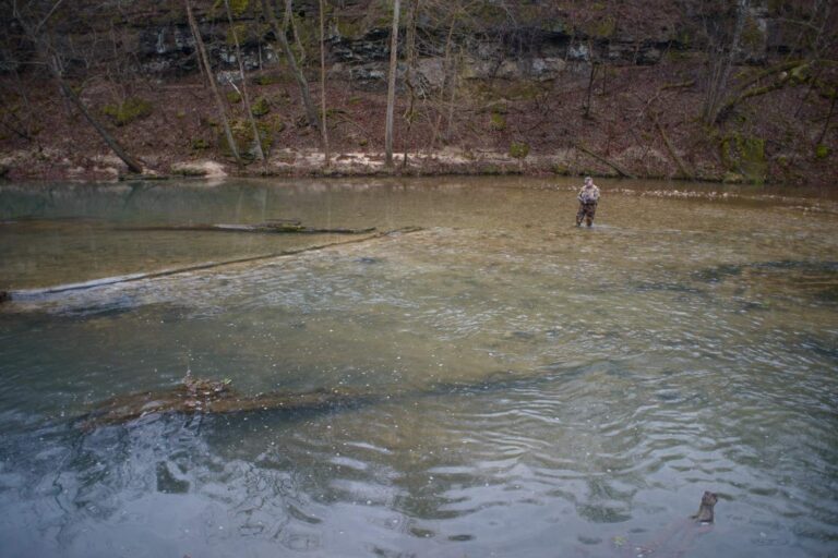 Pigeon Creek, Missouri